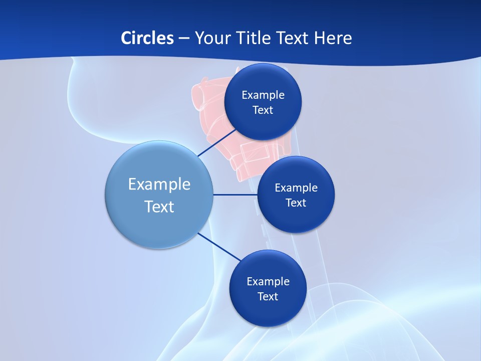 Breath Ligament Cricothyroid PowerPoint Template