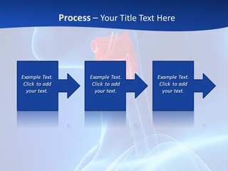 Breath Ligament Cricothyroid PowerPoint Template