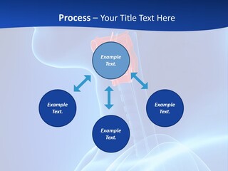 Breath Ligament Cricothyroid PowerPoint Template