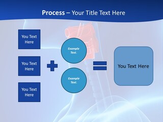 Breath Ligament Cricothyroid PowerPoint Template