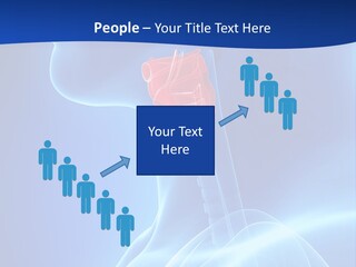 Breath Ligament Cricothyroid PowerPoint Template