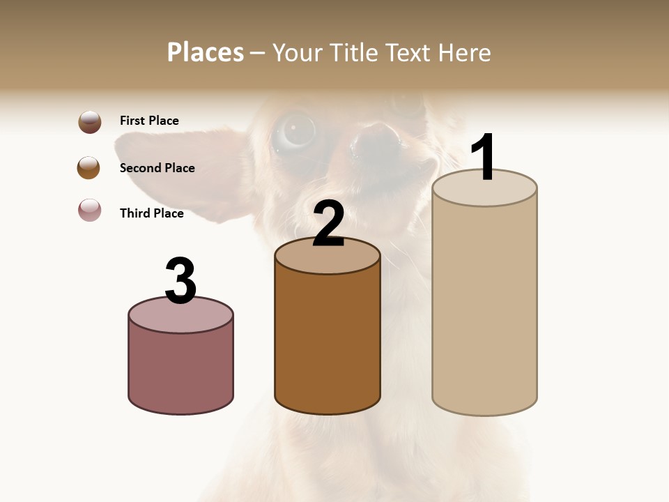 Furry Hear Whelp PowerPoint Template