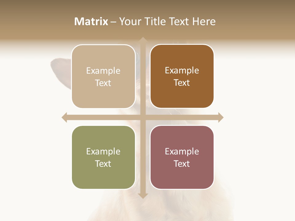 Furry Hear Whelp PowerPoint Template