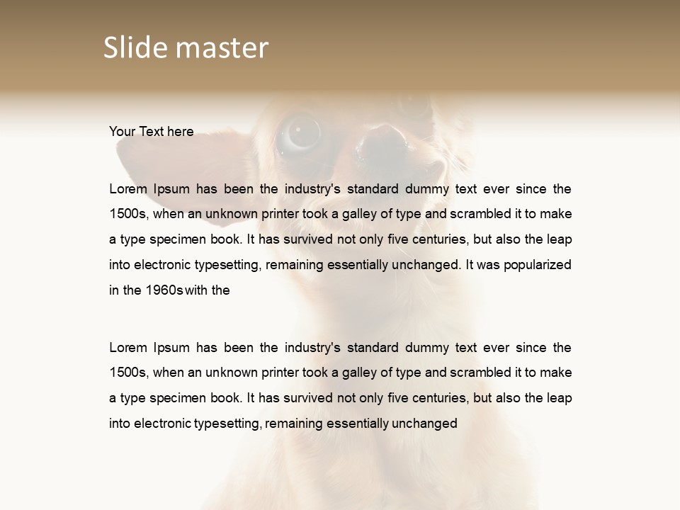 Furry Hear Whelp PowerPoint Template