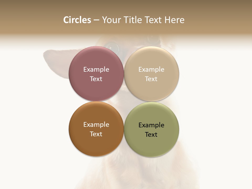 Furry Hear Whelp PowerPoint Template