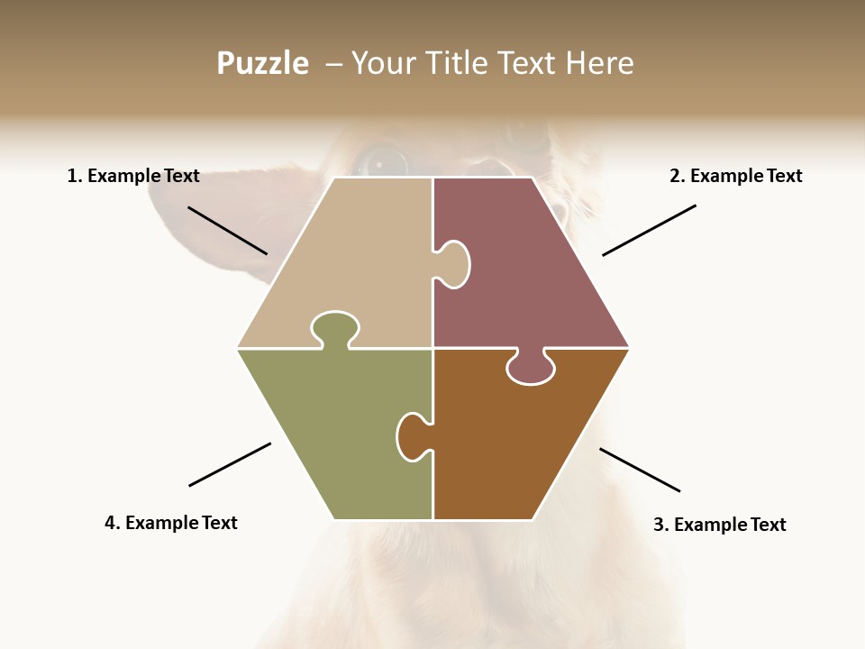 Furry Hear Whelp PowerPoint Template