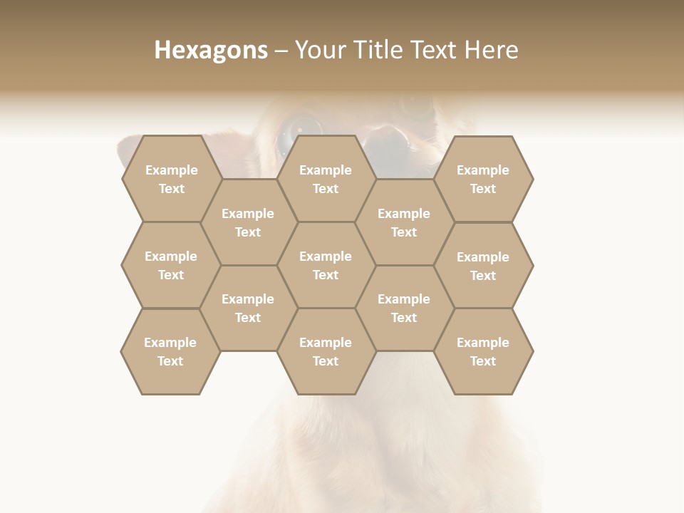 Furry Hear Whelp PowerPoint Template