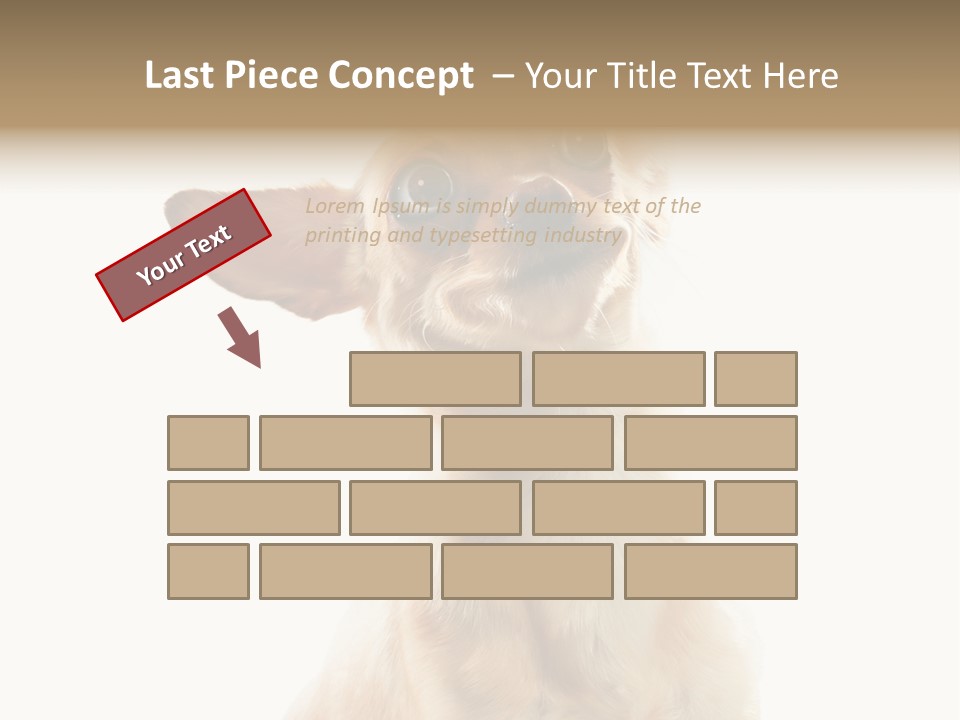 Furry Hear Whelp PowerPoint Template