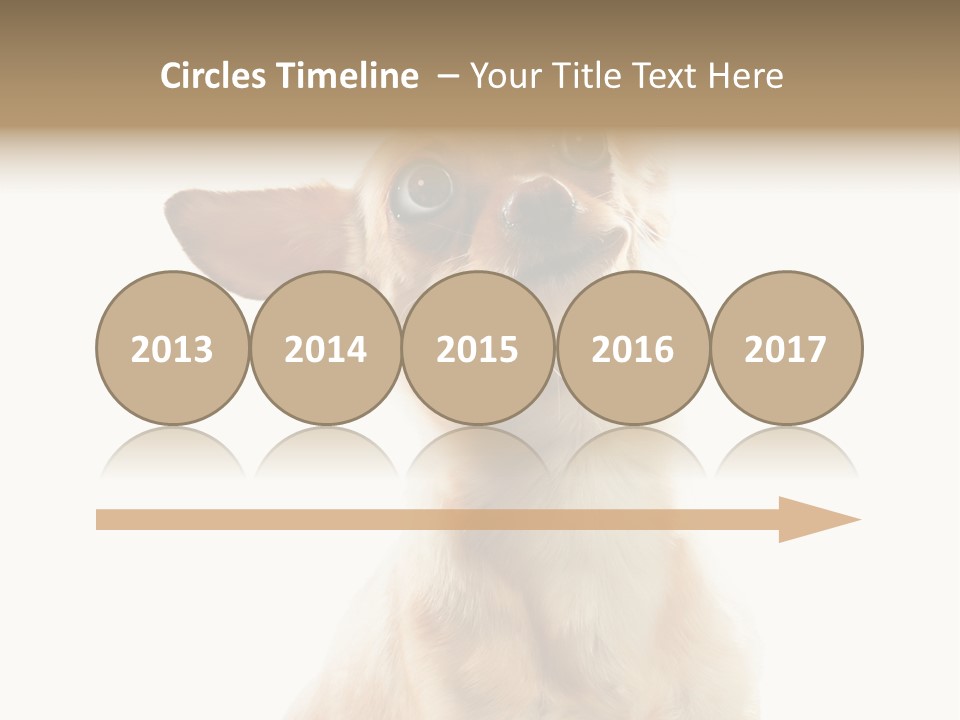 Furry Hear Whelp PowerPoint Template