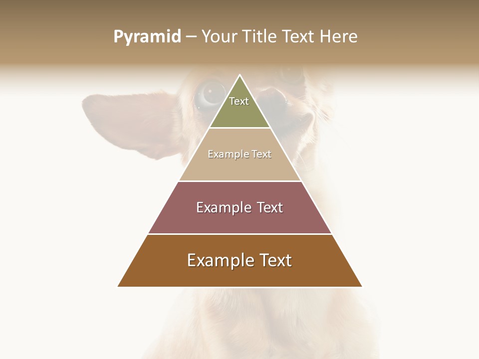 Furry Hear Whelp PowerPoint Template