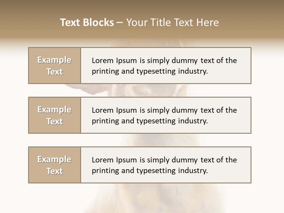 Furry Hear Whelp PowerPoint Template