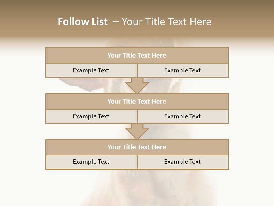 Furry Hear Whelp PowerPoint Template