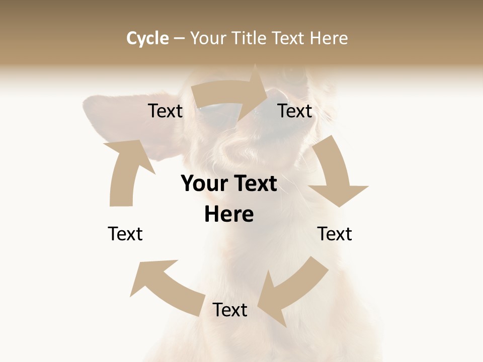 Furry Hear Whelp PowerPoint Template