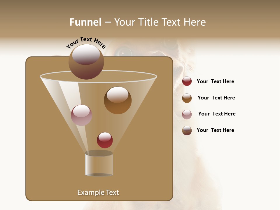 Furry Hear Whelp PowerPoint Template