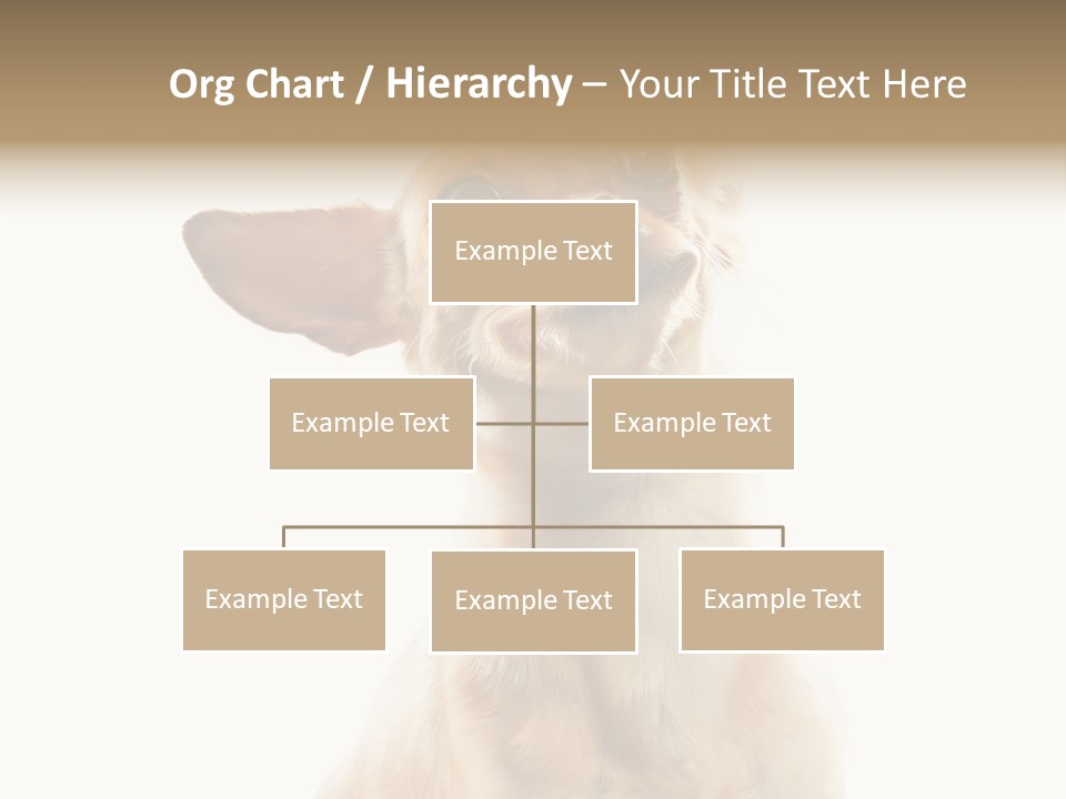 Furry Hear Whelp PowerPoint Template