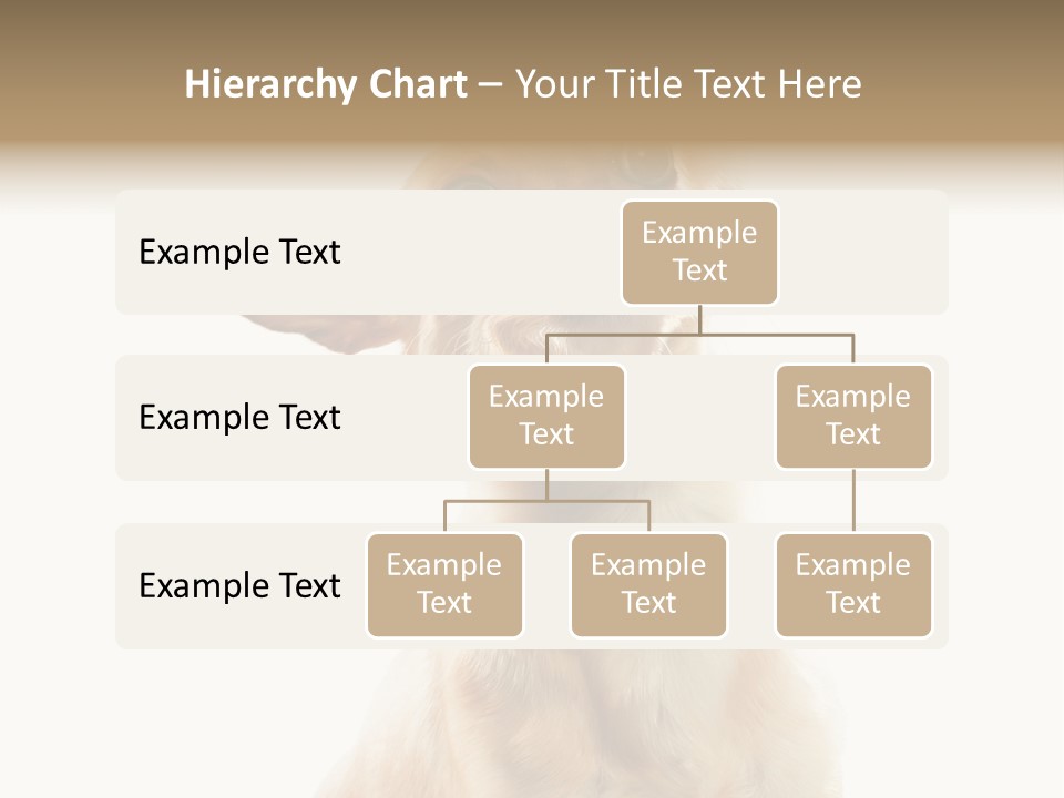 Furry Hear Whelp PowerPoint Template