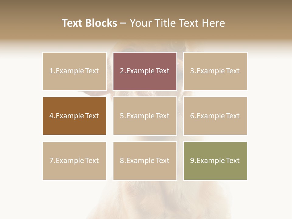 Furry Hear Whelp PowerPoint Template