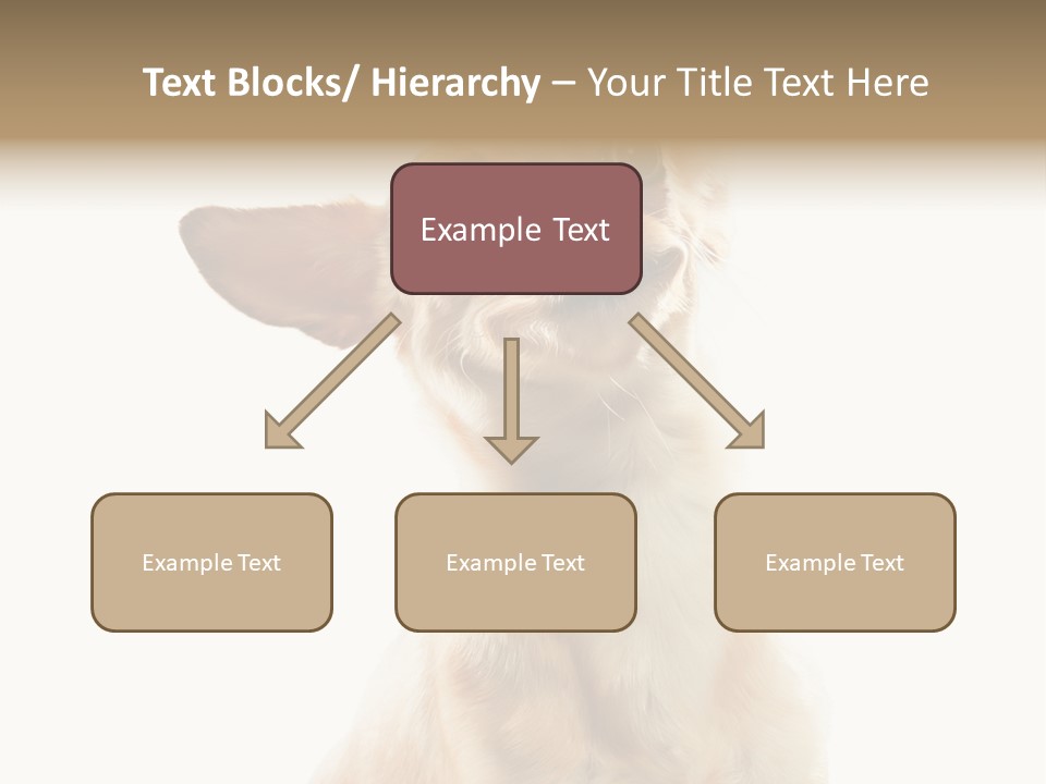 Furry Hear Whelp PowerPoint Template