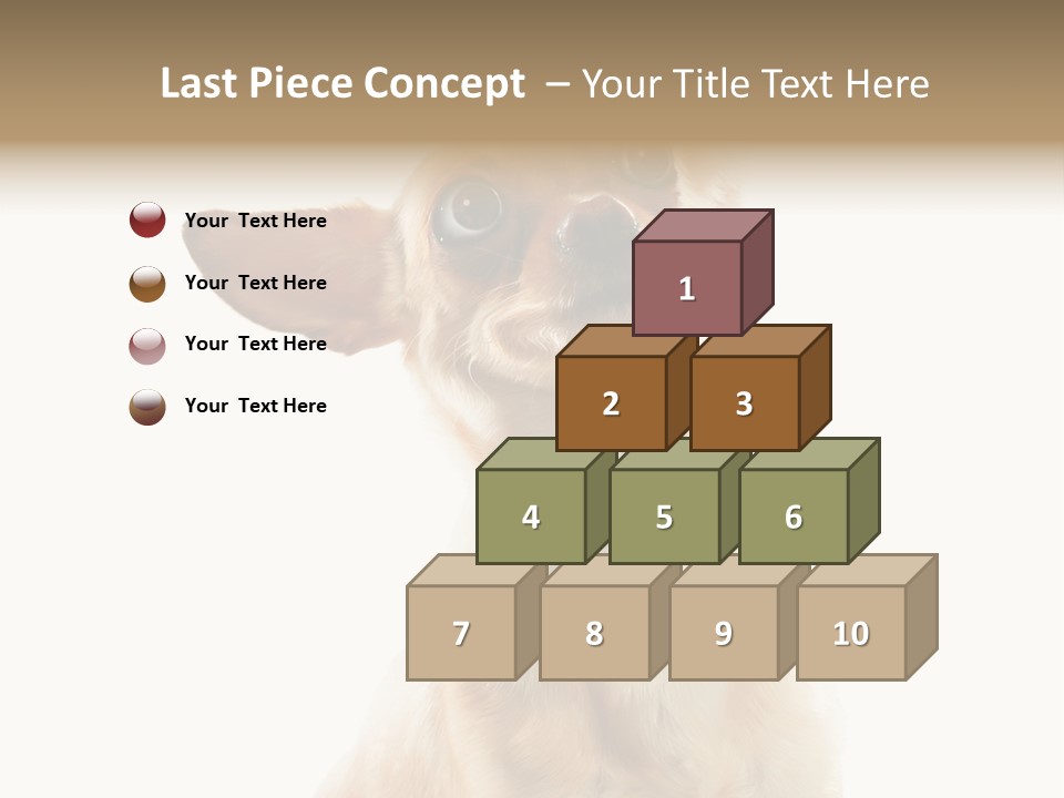 Furry Hear Whelp PowerPoint Template