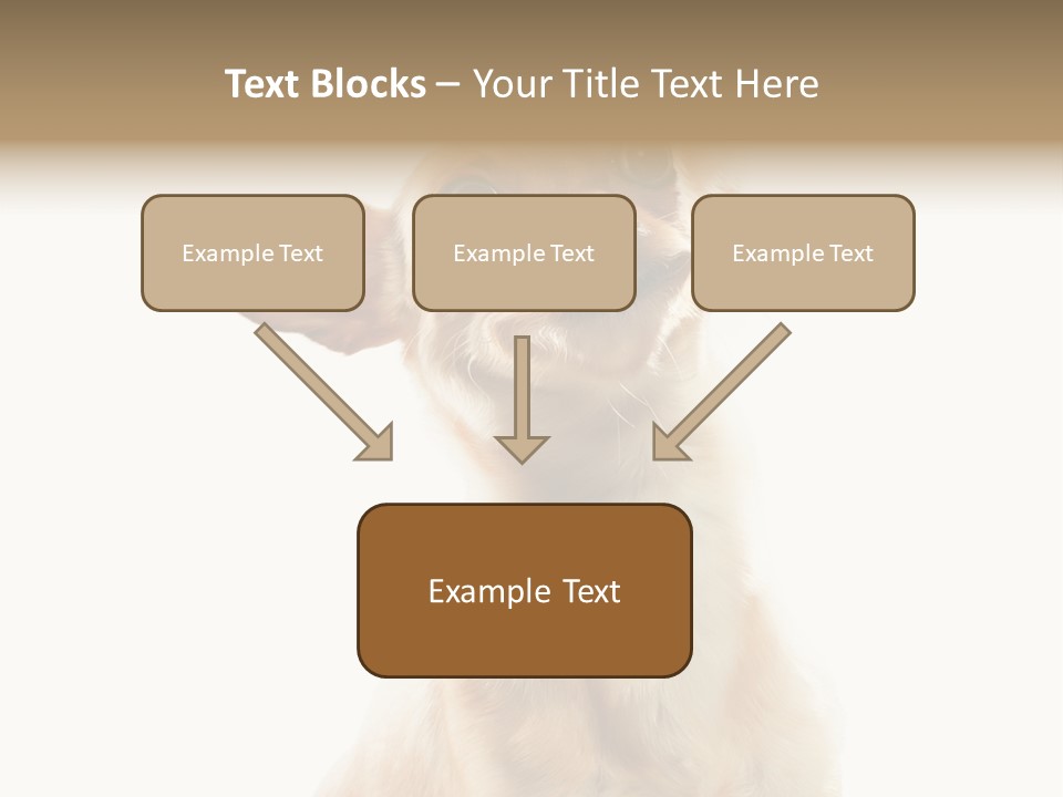 Furry Hear Whelp PowerPoint Template