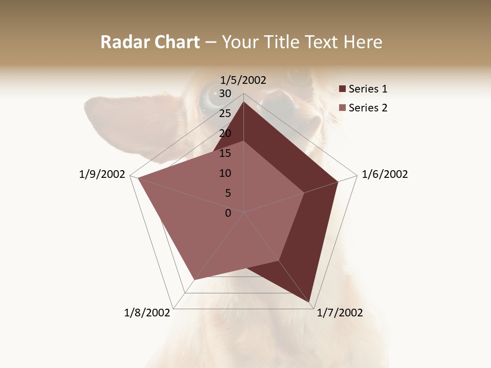 Furry Hear Whelp PowerPoint Template