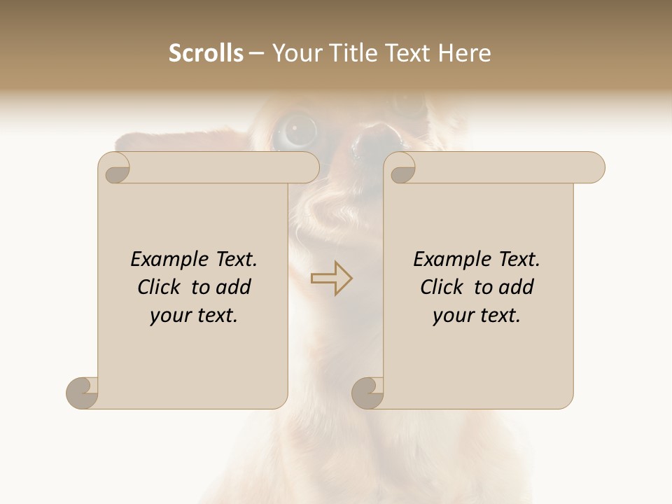 Furry Hear Whelp PowerPoint Template