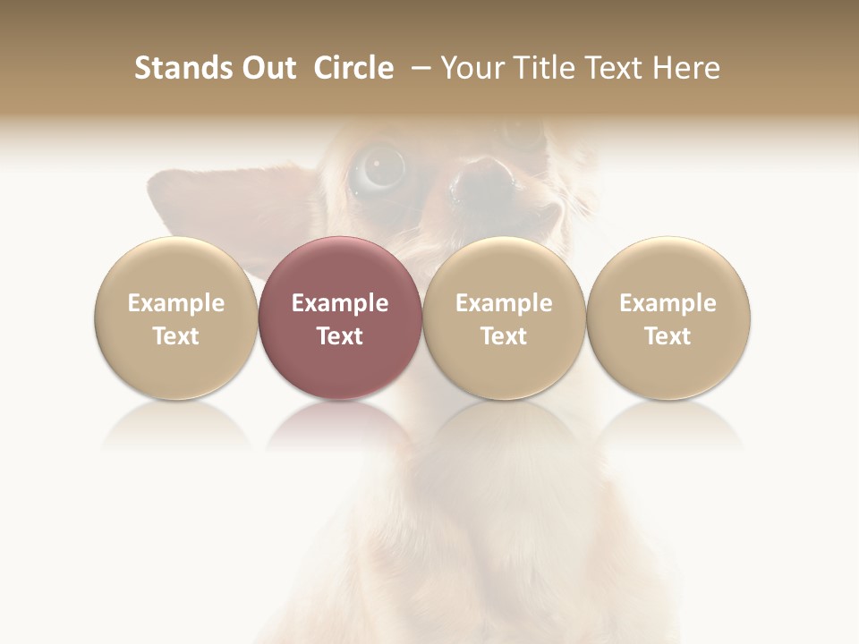 Furry Hear Whelp PowerPoint Template