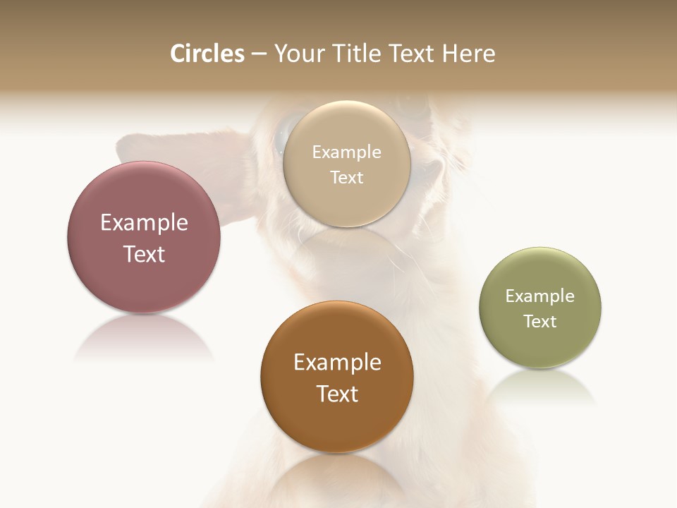 Furry Hear Whelp PowerPoint Template