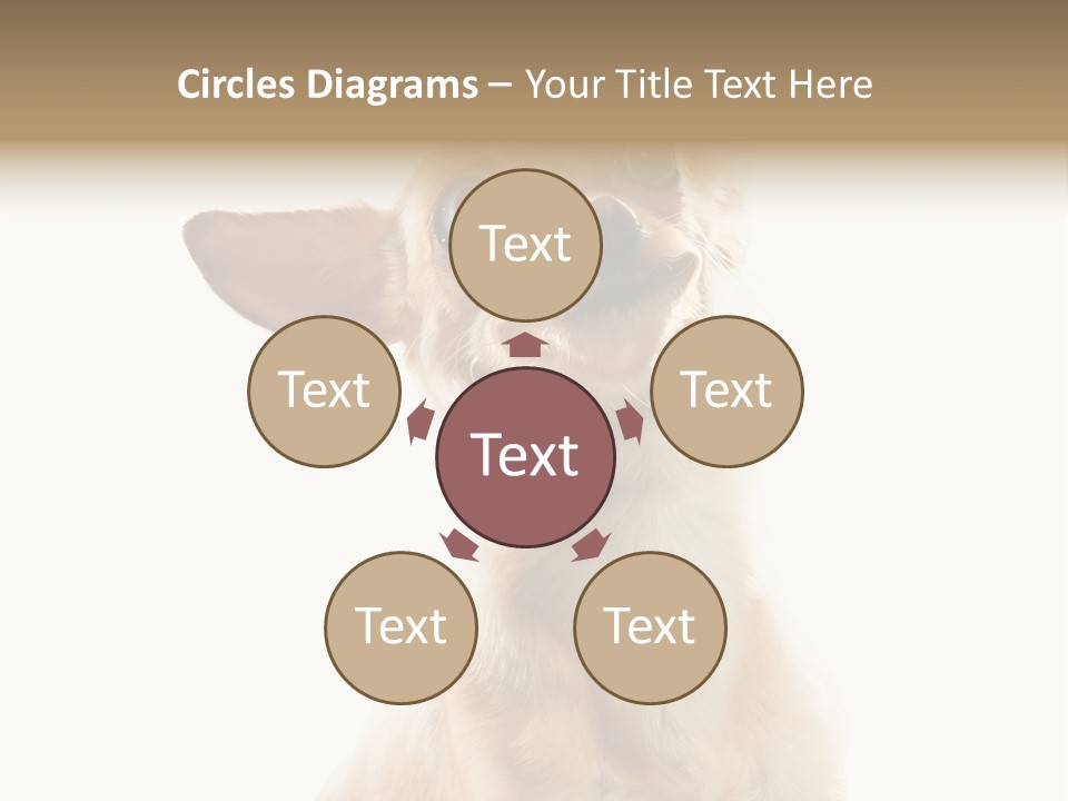 Furry Hear Whelp PowerPoint Template