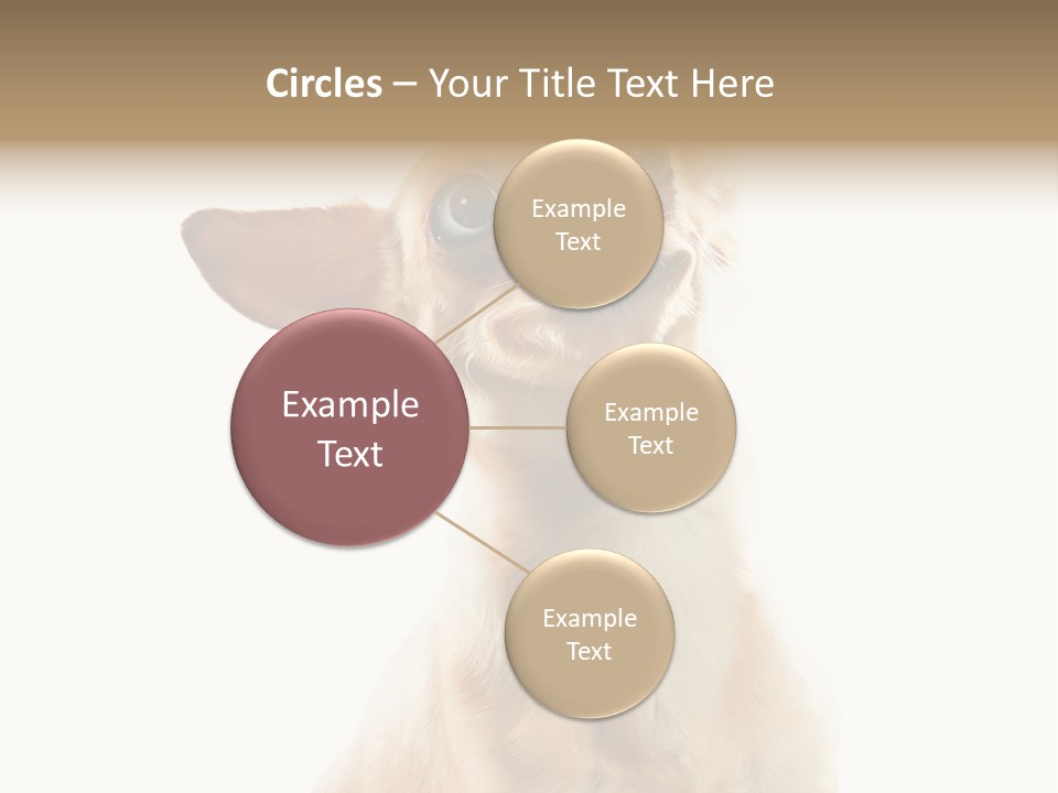 Furry Hear Whelp PowerPoint Template