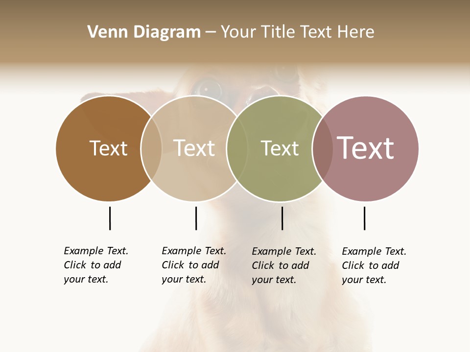 Furry Hear Whelp PowerPoint Template