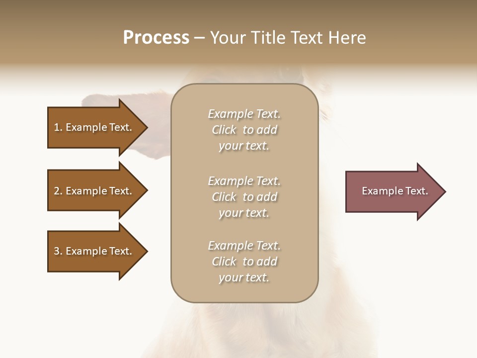 Furry Hear Whelp PowerPoint Template