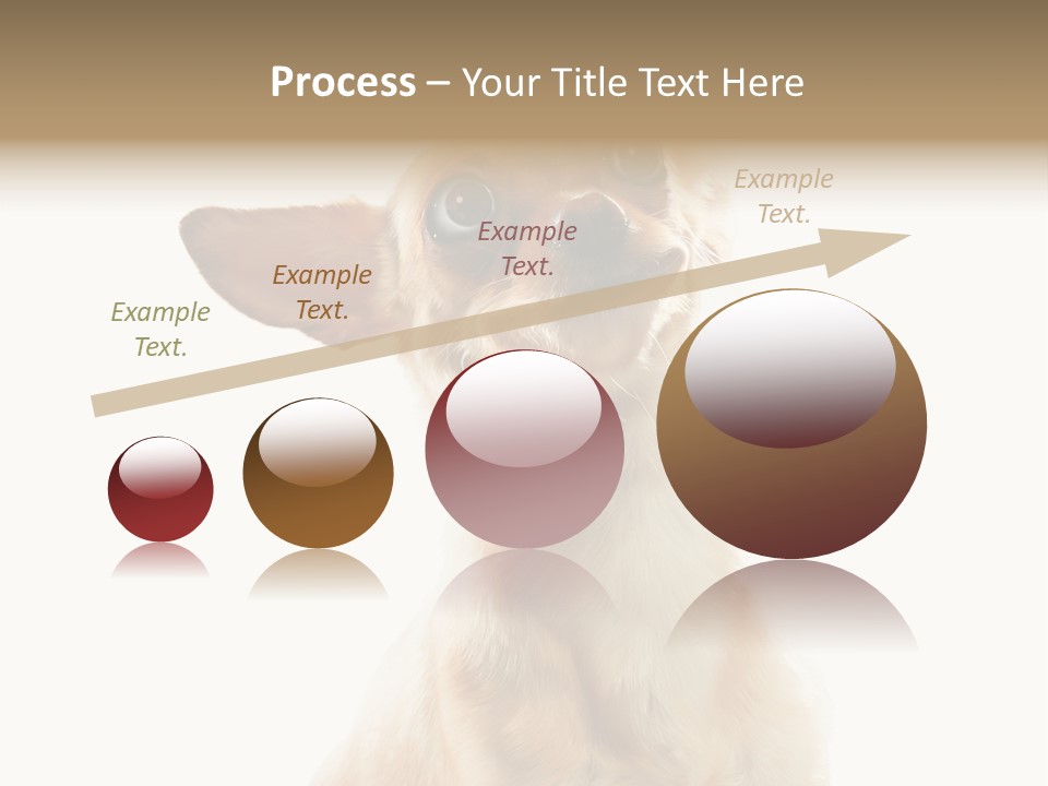 Furry Hear Whelp PowerPoint Template