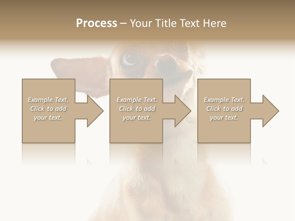Furry Hear Whelp PowerPoint Template