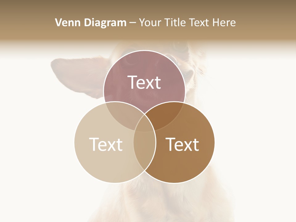 Furry Hear Whelp PowerPoint Template