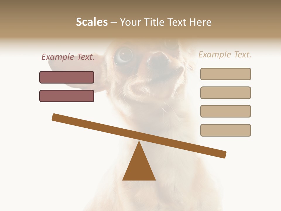 Furry Hear Whelp PowerPoint Template