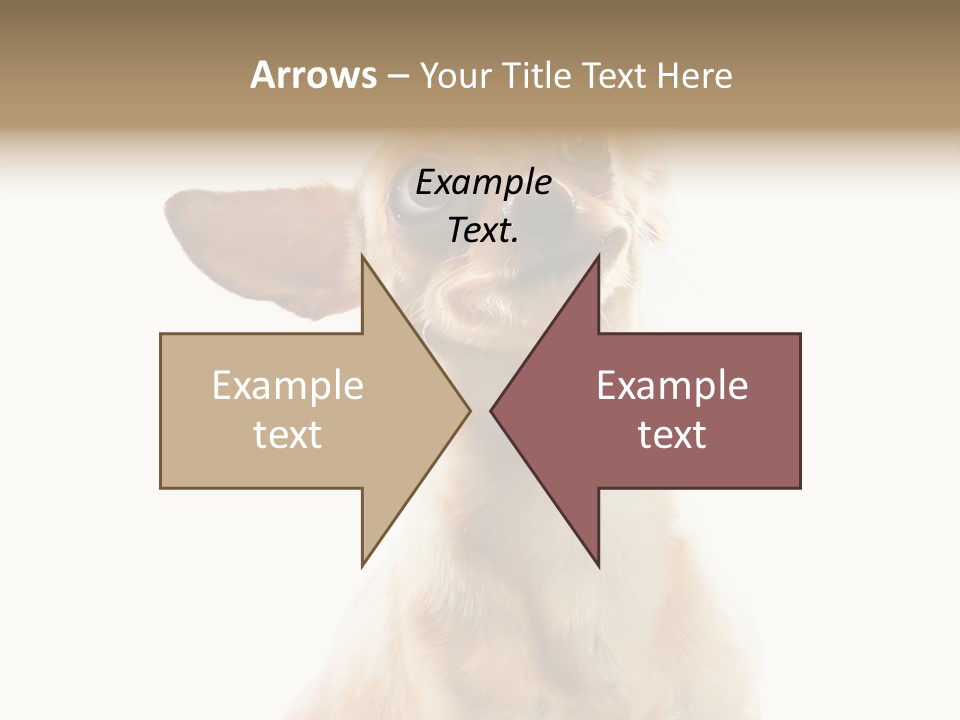 Furry Hear Whelp PowerPoint Template