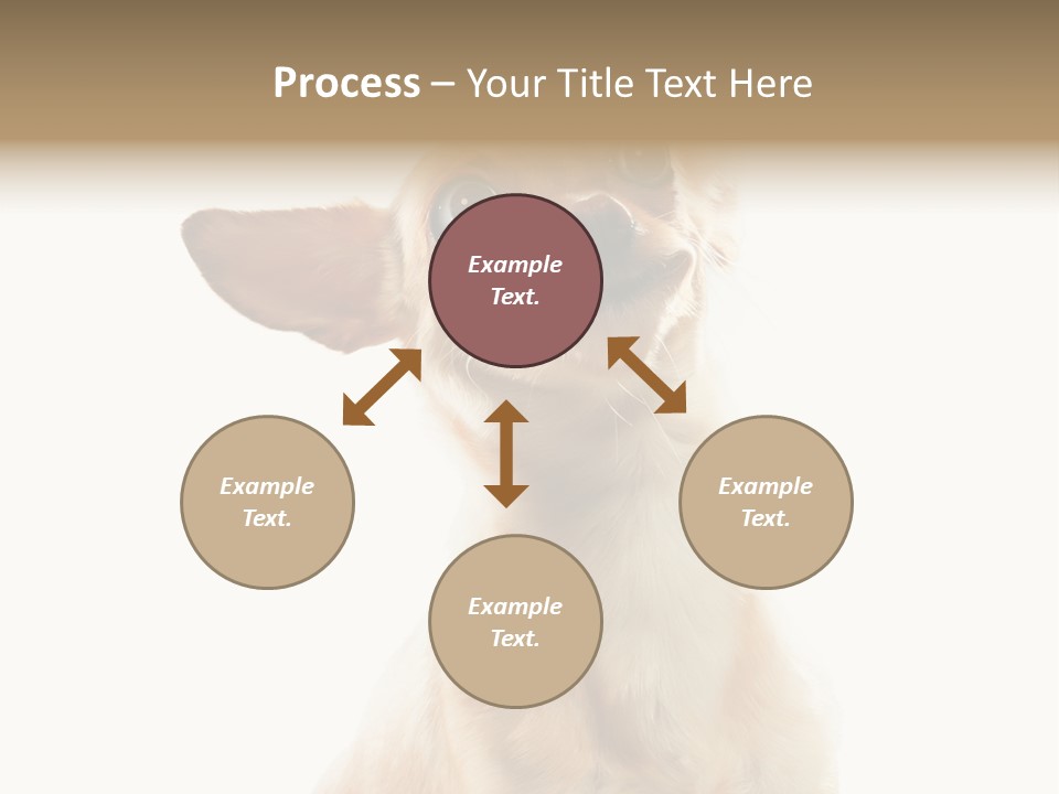 Furry Hear Whelp PowerPoint Template