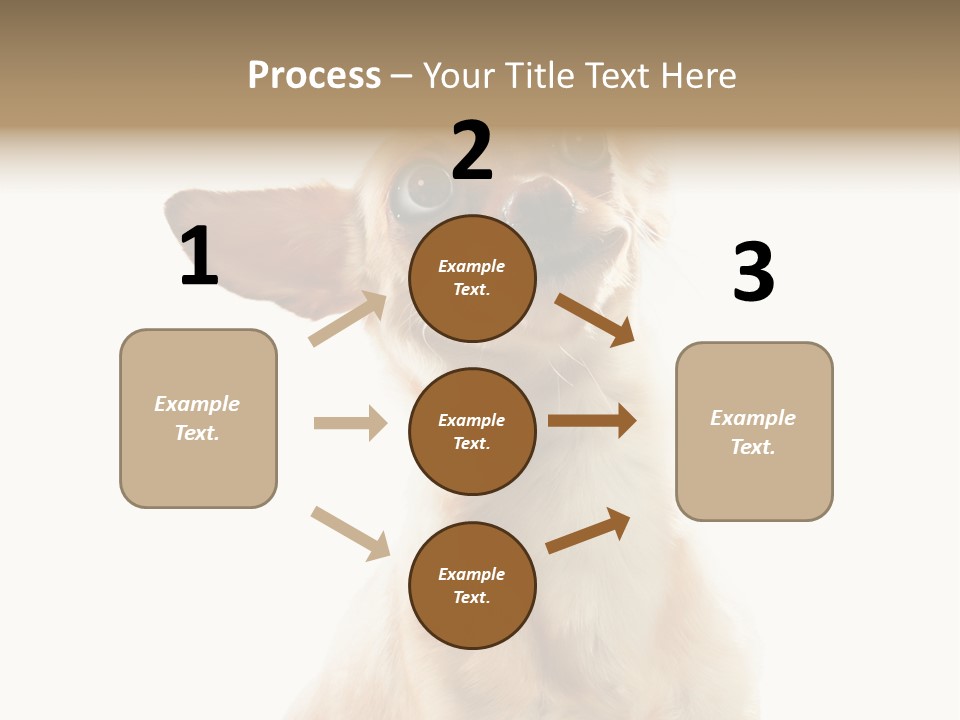 Furry Hear Whelp PowerPoint Template
