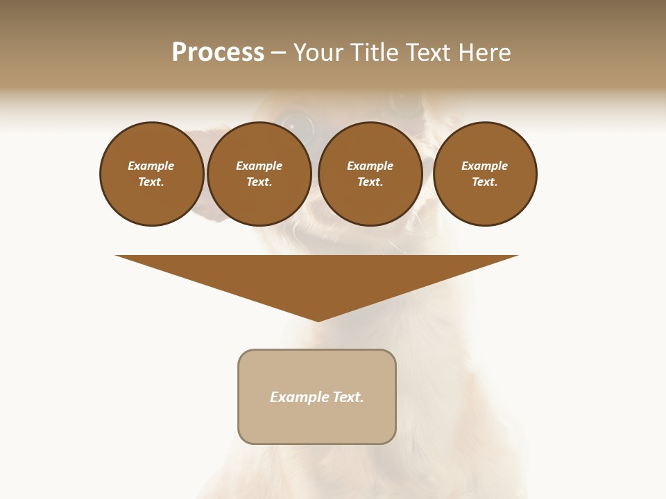 Furry Hear Whelp PowerPoint Template