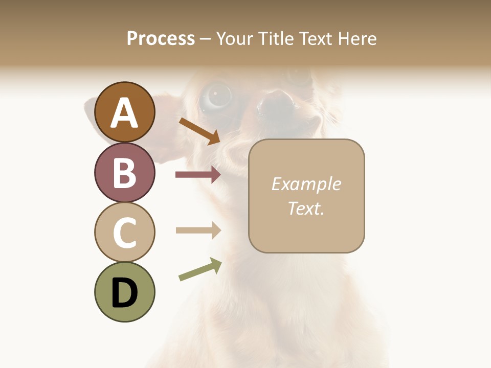 Furry Hear Whelp PowerPoint Template