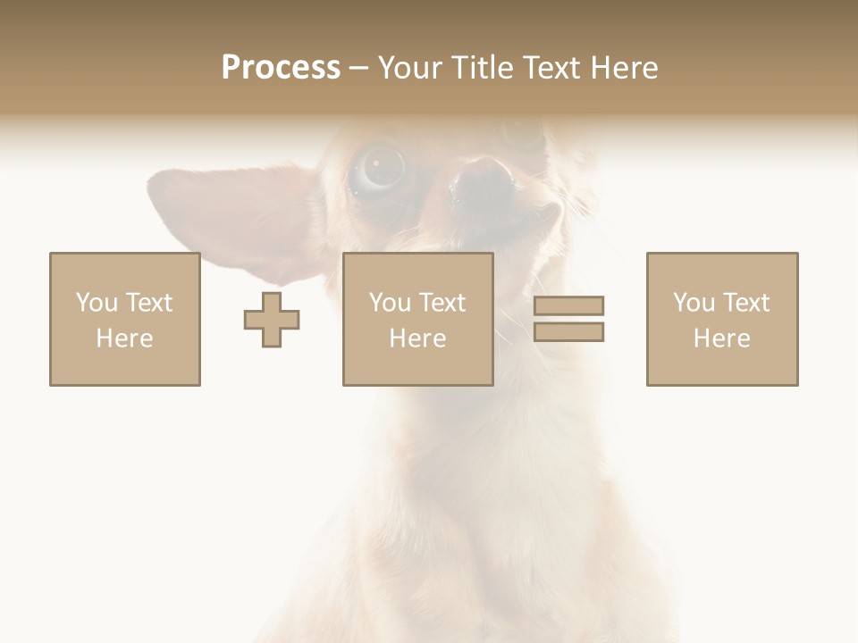 Furry Hear Whelp PowerPoint Template
