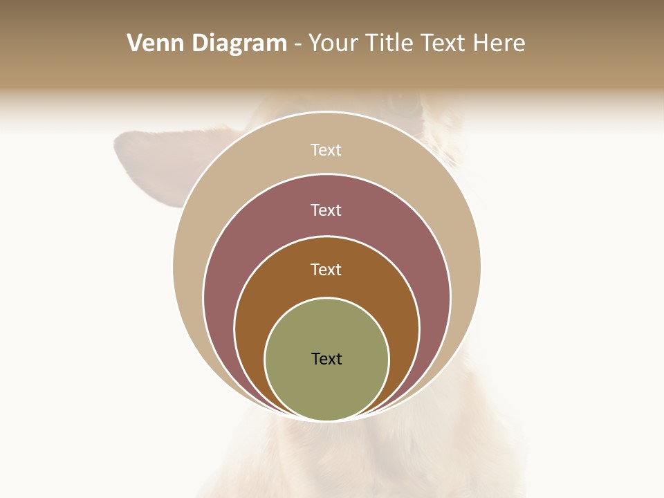 Furry Hear Whelp PowerPoint Template