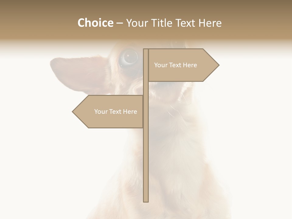 Furry Hear Whelp PowerPoint Template