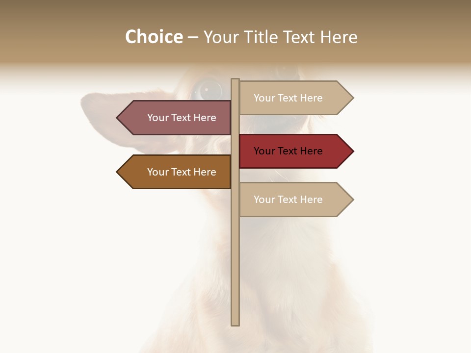 Furry Hear Whelp PowerPoint Template