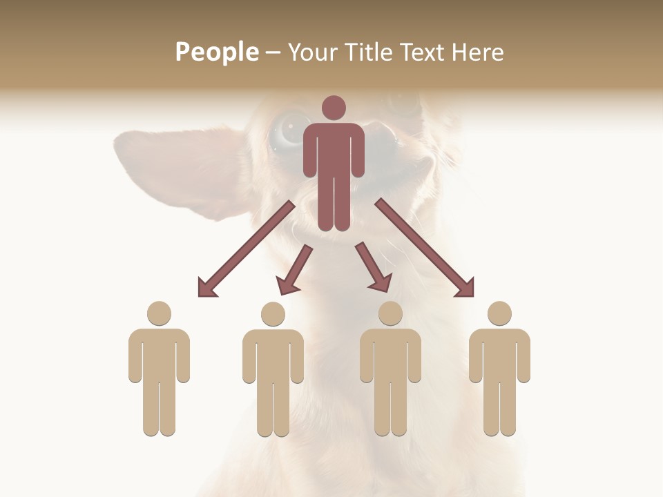 Furry Hear Whelp PowerPoint Template