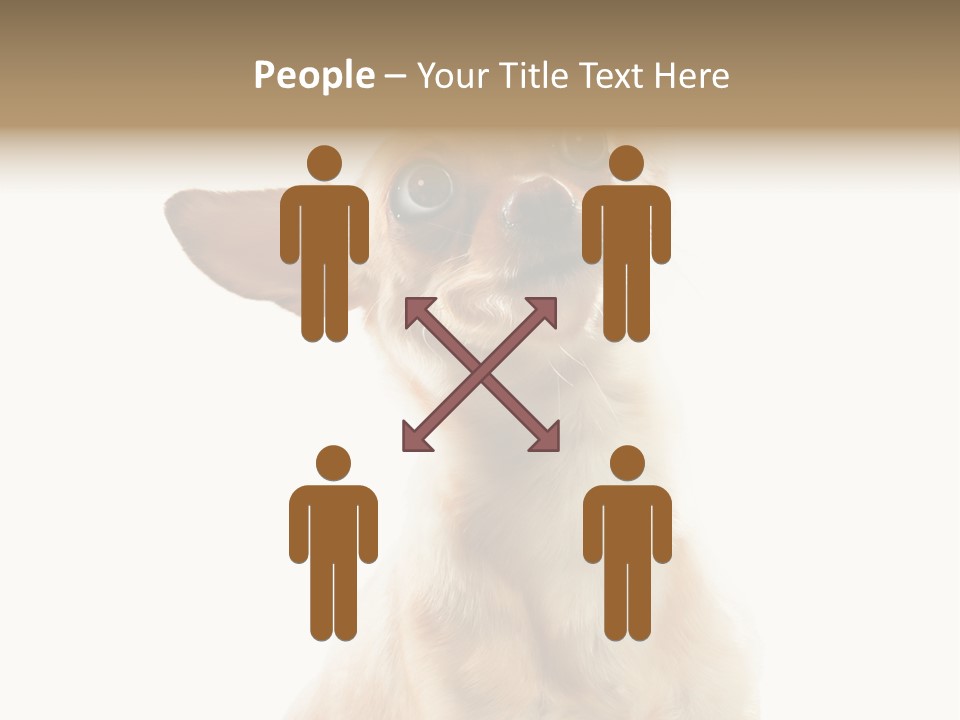 Furry Hear Whelp PowerPoint Template