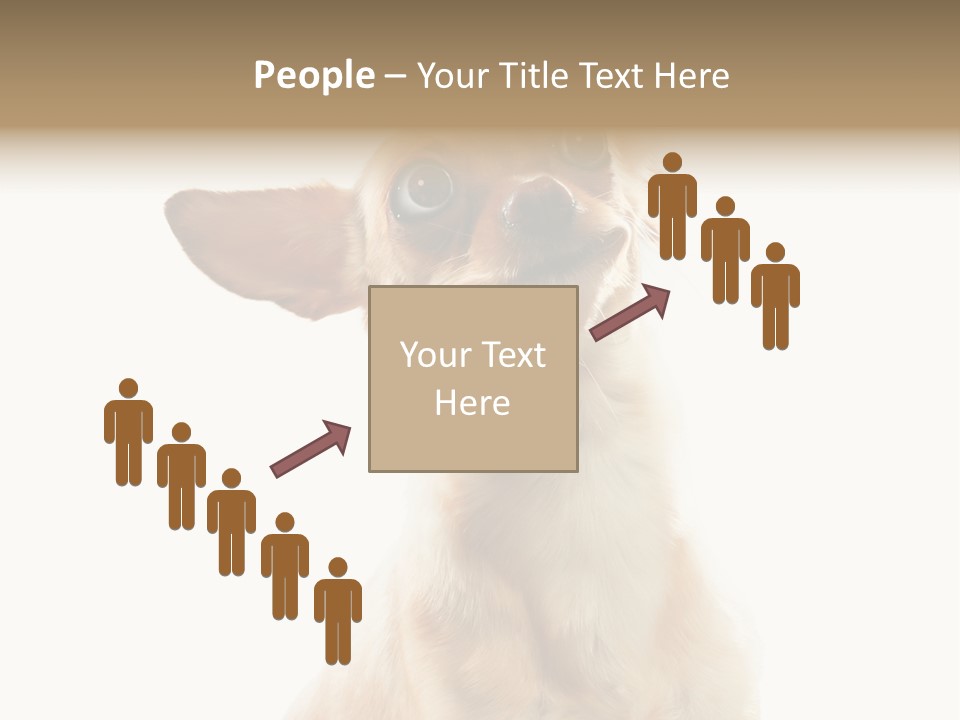Furry Hear Whelp PowerPoint Template