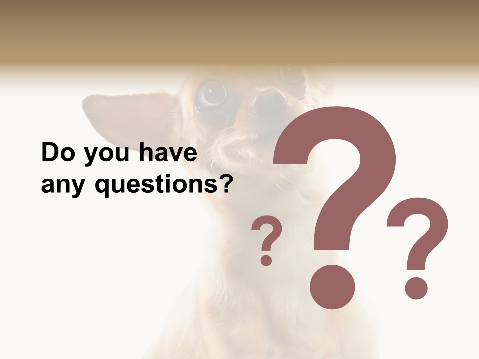 Furry Hear Whelp PowerPoint Template