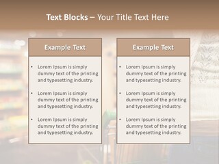 Activity  Leisure PowerPoint Template